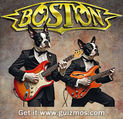 Women's Boston Band Tee — Vintage Rock Dogs Graphic T-Shirt